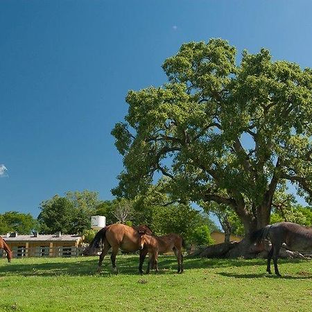 Pousada Chácara das Roseiras Vila Bagé Exterior foto