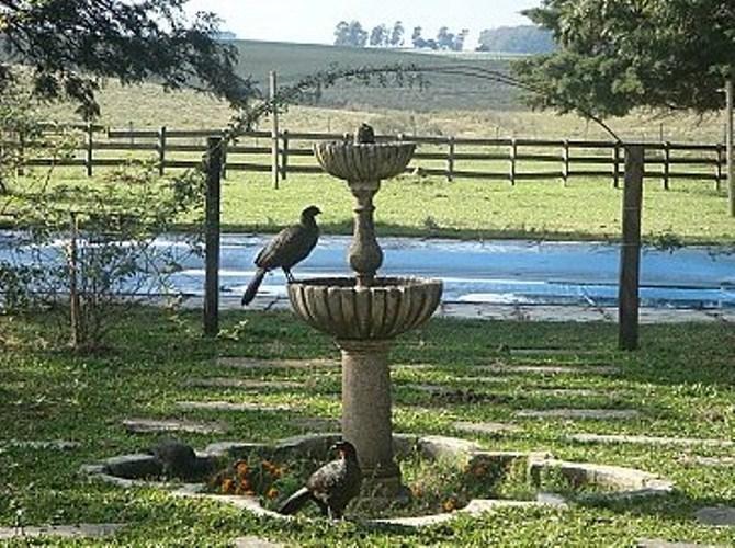 Pousada Chácara das Roseiras Bagé Exterior foto
