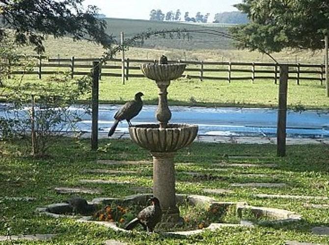 Pousada Chácara das Roseiras Vila Bagé Exterior foto