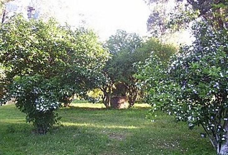 Pousada Chácara das Roseiras Bagé Exterior foto
